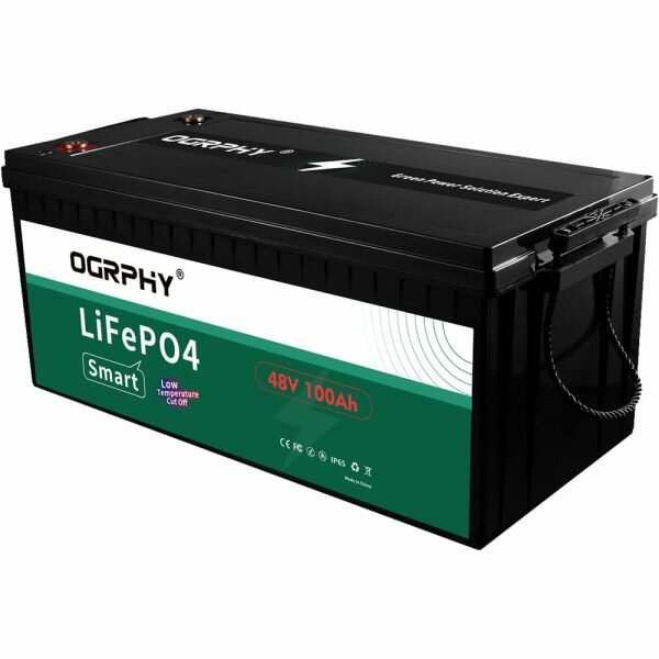 48V 100AH LiFePO4 Battery with Bluetooth 5.12kWh Grade A Cells Lithium Battery with 100A BMS