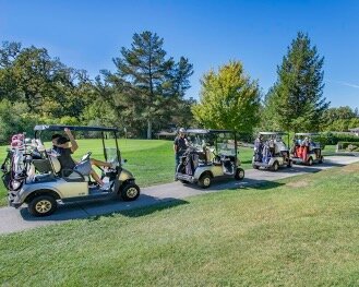 golf cart will maintain constant speed and power output